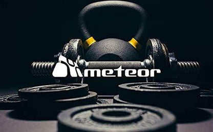 Meteor Essential Cast Iron Weight Plate 25.4Mm Hole - FITECFIT